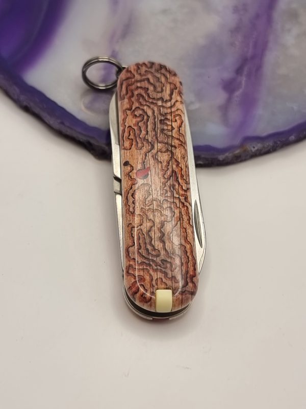 Victorinox Classic Woodworm Limited Edition - Image 3