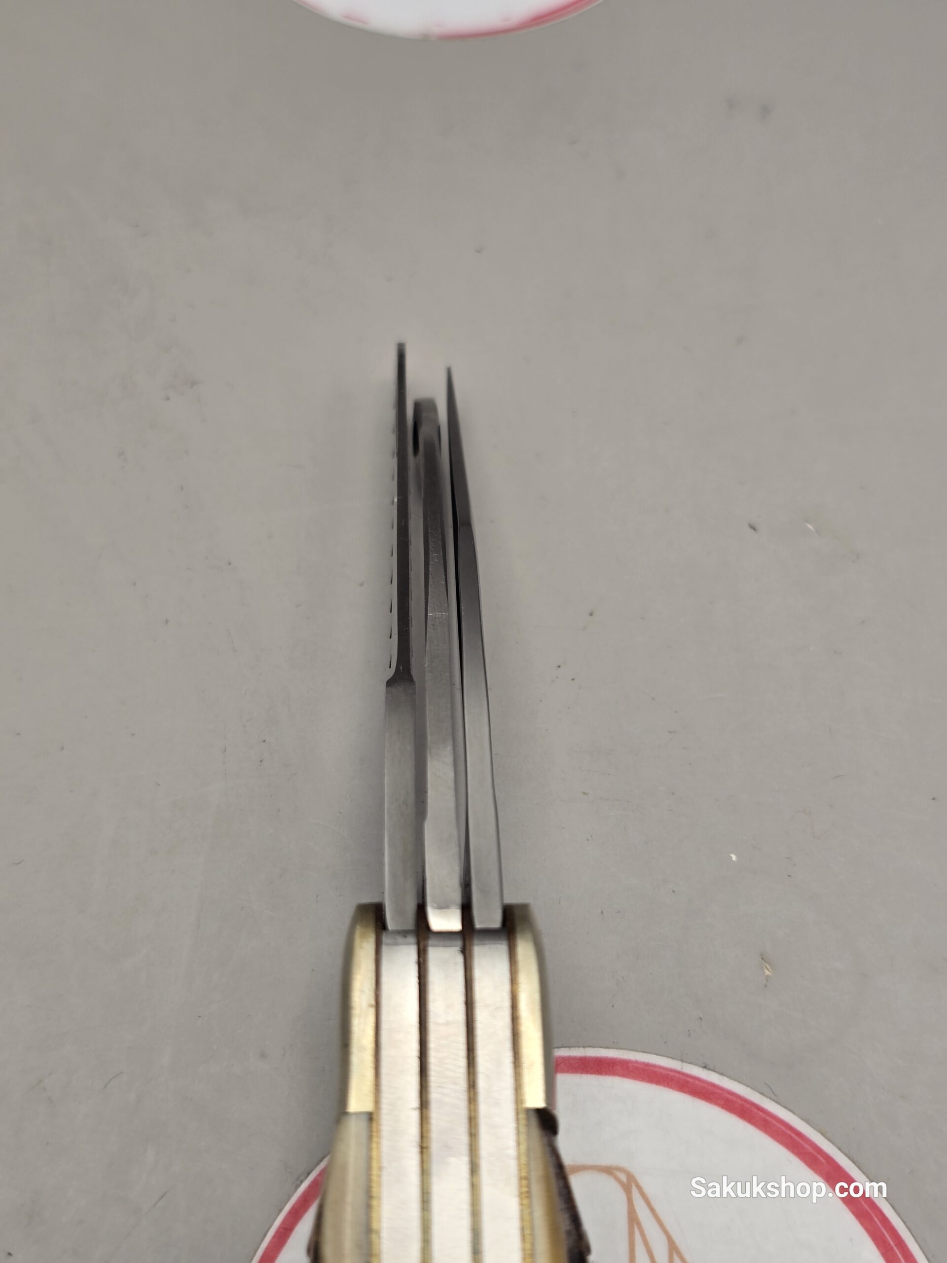 Carl Schlieper - Image 10